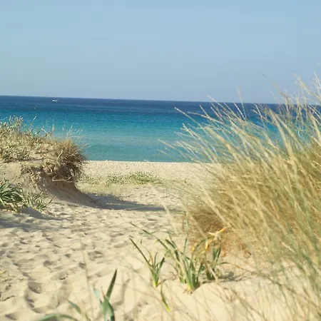 Hotel Hyencos Callyon 4*